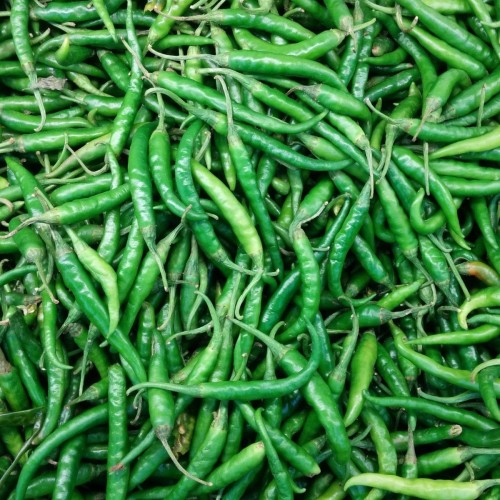 Fresh Green Chillies